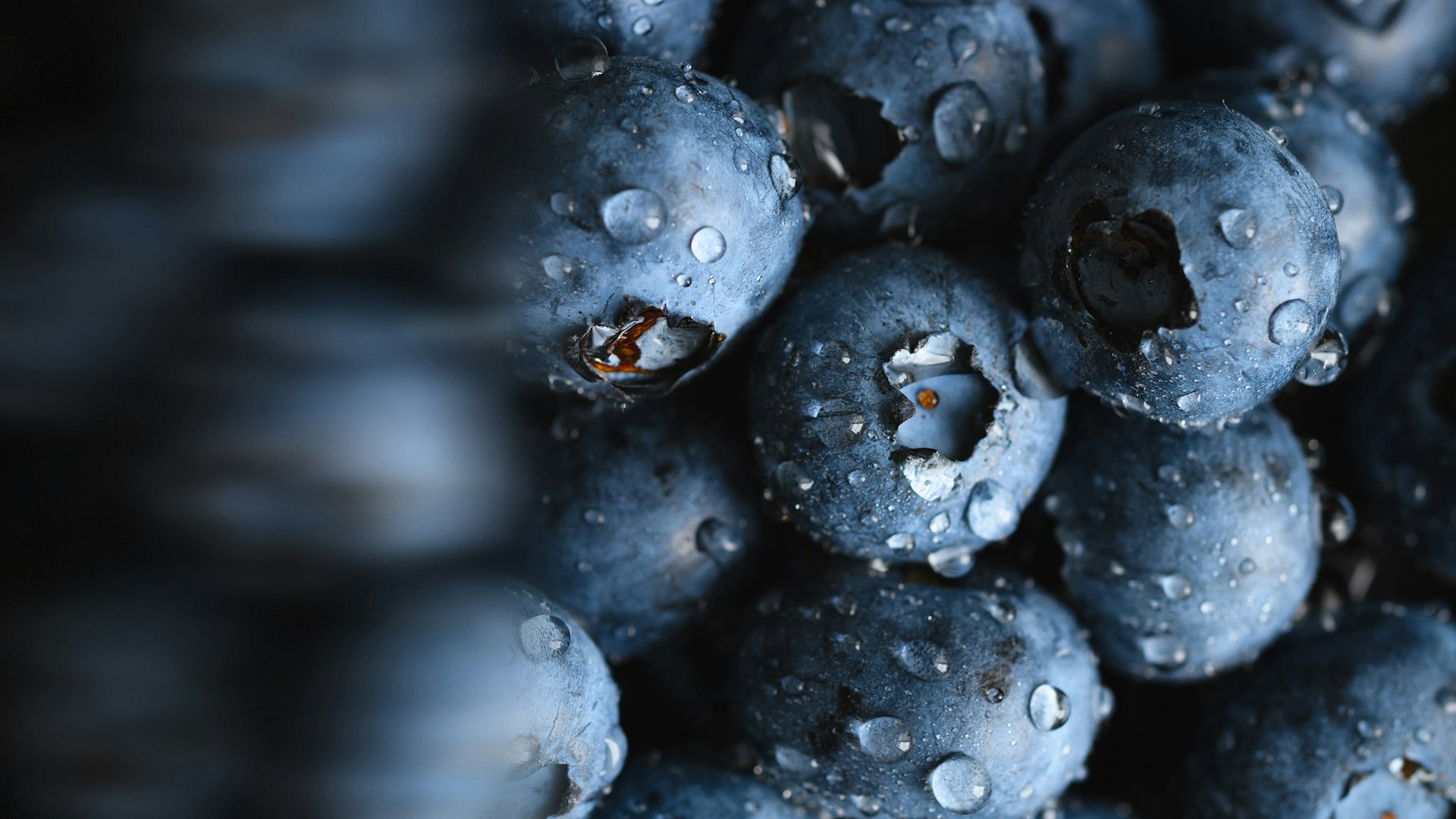 Cooled and dried blueberries