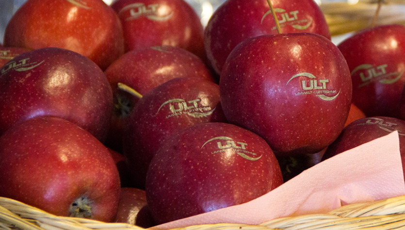 ULT logo brought on apples by laser